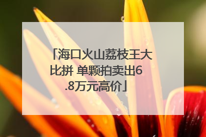 海口火山荔枝王大比拼 单颗拍卖出6.8万元高价
