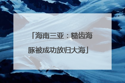 海南三亚：糙齿海豚被成功放归大海