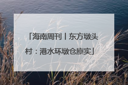 海南周刊丨东方墩头村：港水环墩仓廪实