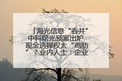 海光信息“吞并”中科曙光预案出炉 现金选择权太“鸡肋”？业内人士：企业不想大量现金流出