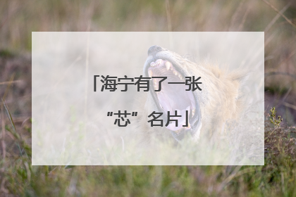 海宁有了一张“芯”名片