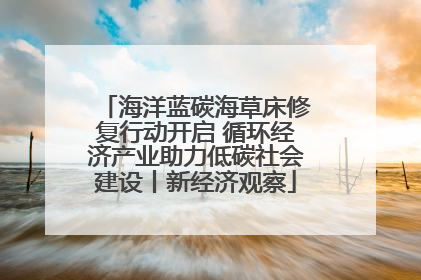 海洋蓝碳海草床修复行动开启 循环经济产业助力低碳社会建设丨新经济观察