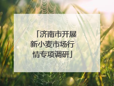 济南市开展新小麦市场行情专项调研