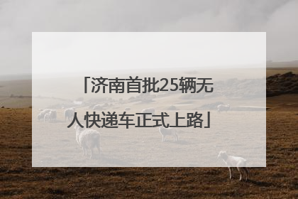 济南首批25辆无人快递车正式上路