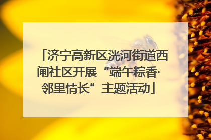 济宁高新区洸河街道西闸社区开展“端午粽香·邻里情长”主题活动