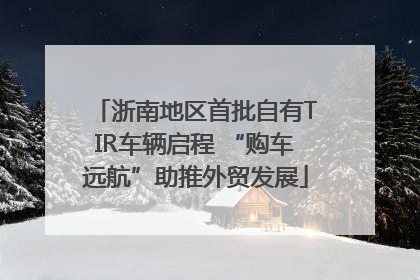 浙南地区首批自有TIR车辆启程 “购车远航”助推外贸发展