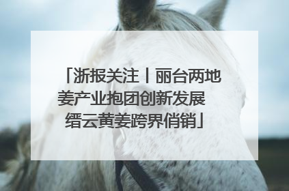 浙报关注丨丽台两地姜产业抱团创新发展 缙云黄姜跨界俏销