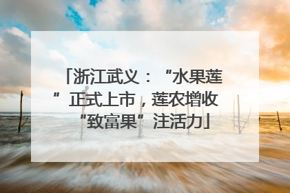 浙江武义：“水果莲”正式上市，莲农增收“致富果”注活力