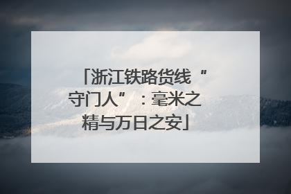 浙江铁路货线“守门人”：毫米之精与万日之安