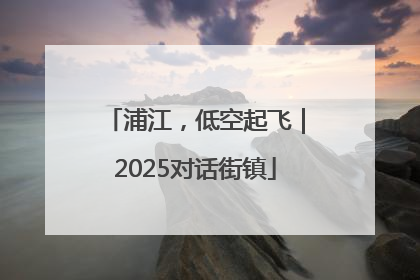 浦江，低空起飞｜2025对话街镇