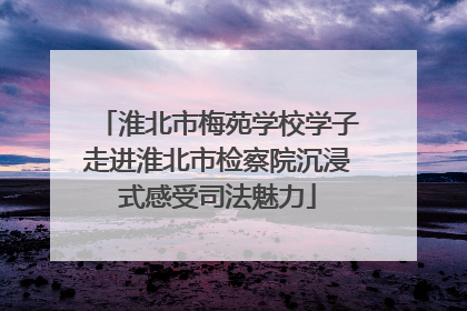 淮北市梅苑学校学子走进淮北市检察院沉浸式感受司法魅力