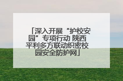 深入开展“护校安园”专项行动 陕西平利多方联动织密校园安全防护网