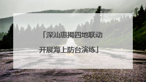 深汕惠揭四地联动开展海上防台演练