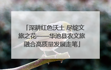 深耕红色沃土 尽绽文旅之花——华池县农文旅融合高质量发展走笔