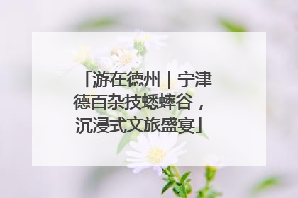 游在德州｜宁津德百杂技蟋蟀谷，沉浸式文旅盛宴