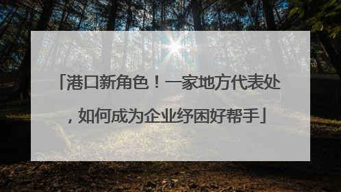 港口新角色！一家地方代表处，如何成为企业纾困好帮手