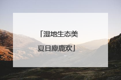 湿地生态美 夏日麋鹿欢