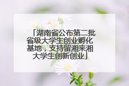 湖南省公布第二批省级大学生创业孵化基地，支持留湘来湘大学生创新创业