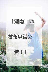 湖南一地发布悬赏公告!