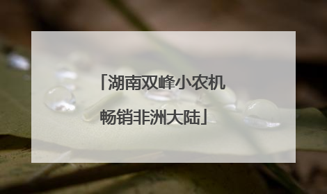 湖南双峰小农机畅销非洲大陆
