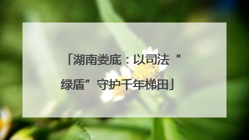 湖南娄底：以司法“绿盾”守护千年梯田