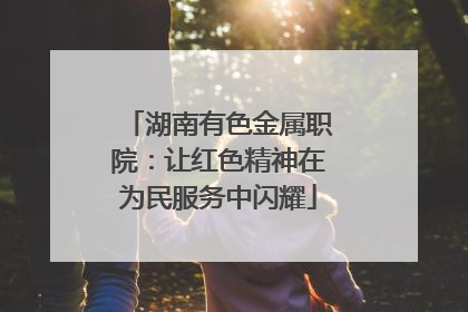 湖南有色金属职院：让红色精神在为民服务中闪耀