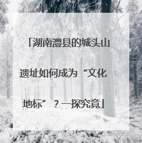 湖南澧县的城头山遗址如何成为“文化地标”？一探究竟