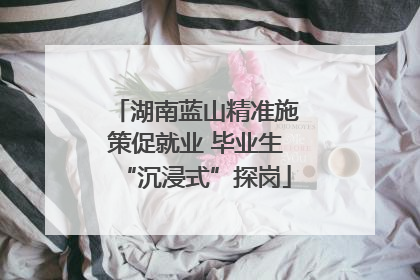 湖南蓝山精准施策促就业 毕业生“沉浸式”探岗