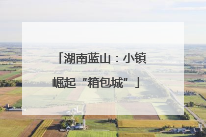 湖南蓝山：小镇崛起“箱包城”