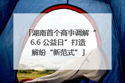 湖南首个商事调解“6.6 公益日”打造解纷“新范式”