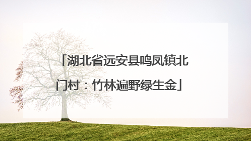 湖北省远安县鸣凤镇北门村：竹林遍野绿生金