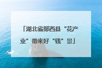 湖北省郧西县“花产业”带来好“钱”景