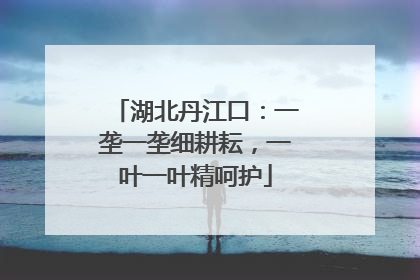 湖北丹江口：一垄一垄细耕耘，一叶一叶精呵护
