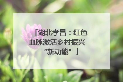 湖北孝昌：红色血脉激活乡村振兴“新动能”