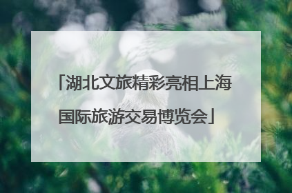湖北文旅精彩亮相上海国际旅游交易博览会