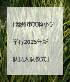 滁州市实验小学举行2025年新队员入队仪式