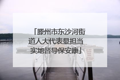 滕州市东沙河街道人大代表显担当实地督导保安康