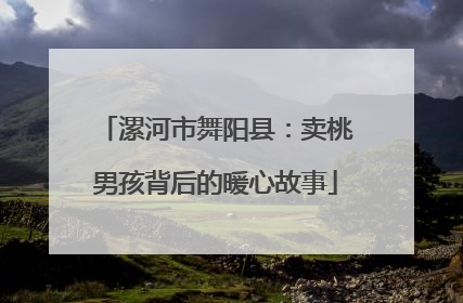 漯河市舞阳县：卖桃男孩背后的暖心故事