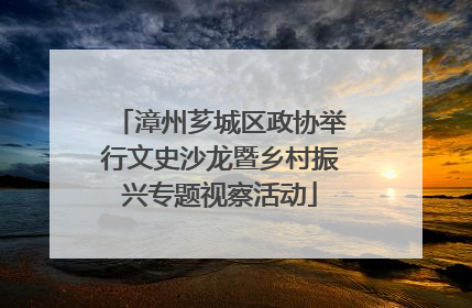 漳州芗城区政协举行文史沙龙暨乡村振兴专题视察活动