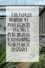 菏力共治助健康 牡丹区省派第一书记和工作队邀请省妇幼保健院专家开展义诊活动