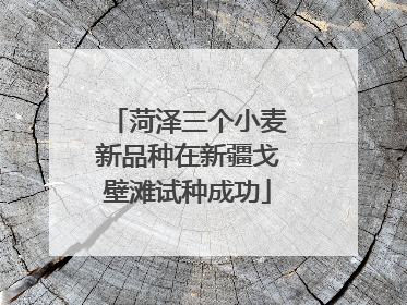菏泽三个小麦新品种在新疆戈壁滩试种成功