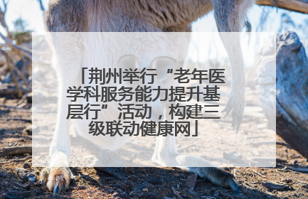 荆州举行“老年医学科服务能力提升基层行”活动，构建三级联动健康网