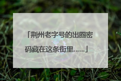 荆州老字号的出圈密码藏在这条街里……