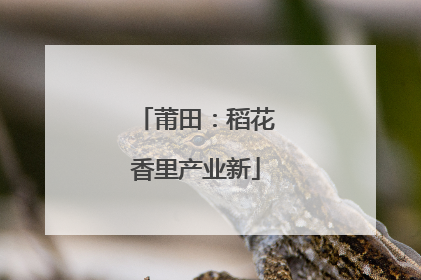 莆田：稻花香里产业新