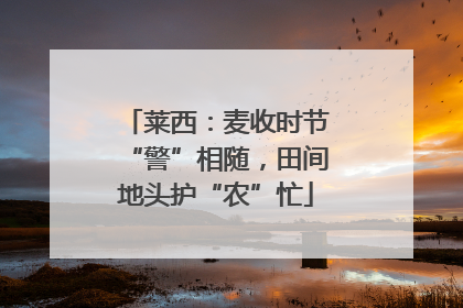 莱西：麦收时节“警”相随，田间地头护“农”忙