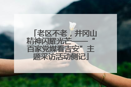 老区不老，井冈山精神闪耀光芒——“百家党媒看吉安”主题采访活动侧记