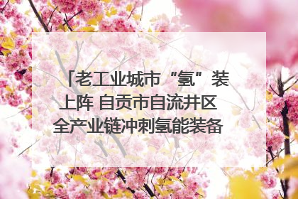 老工业城市“氢”装上阵 自贡市自流井区全产业链冲刺氢能装备制造新高地｜美好生活有“盐”味