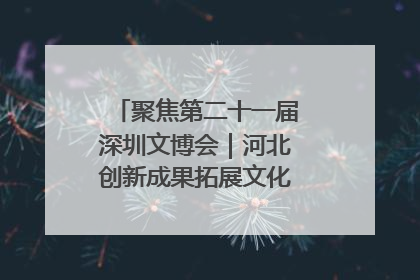 聚焦第二十一届深圳文博会｜河北创新成果拓展文化产业“朋友圈”