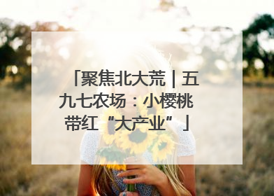 聚焦北大荒｜五九七农场：小樱桃带红“大产业”