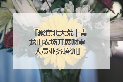 聚焦北大荒｜青龙山农场开展财审人员业务培训